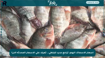 أسعار الأسماك اليوم: تراجع جديد للبلطي.. تعرف على الأسعار المحدثة الآن!